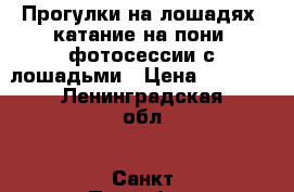 Прогулки на лошадях, катание на пони, фотосессии с лошадьми › Цена ­ 1 000 - Ленинградская обл., Санкт-Петербург г. Развлечения и отдых » Другое   . Ленинградская обл.,Санкт-Петербург г.